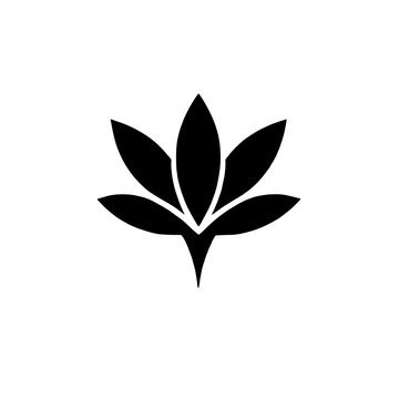 Spiritual Growth